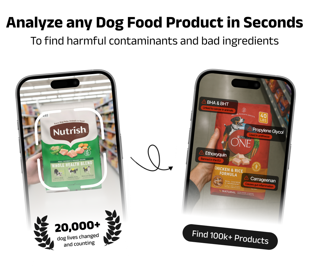 Paws AI mobile app screenshots showing dog food scanning interface, health score analysis, and ingredient breakdown features
